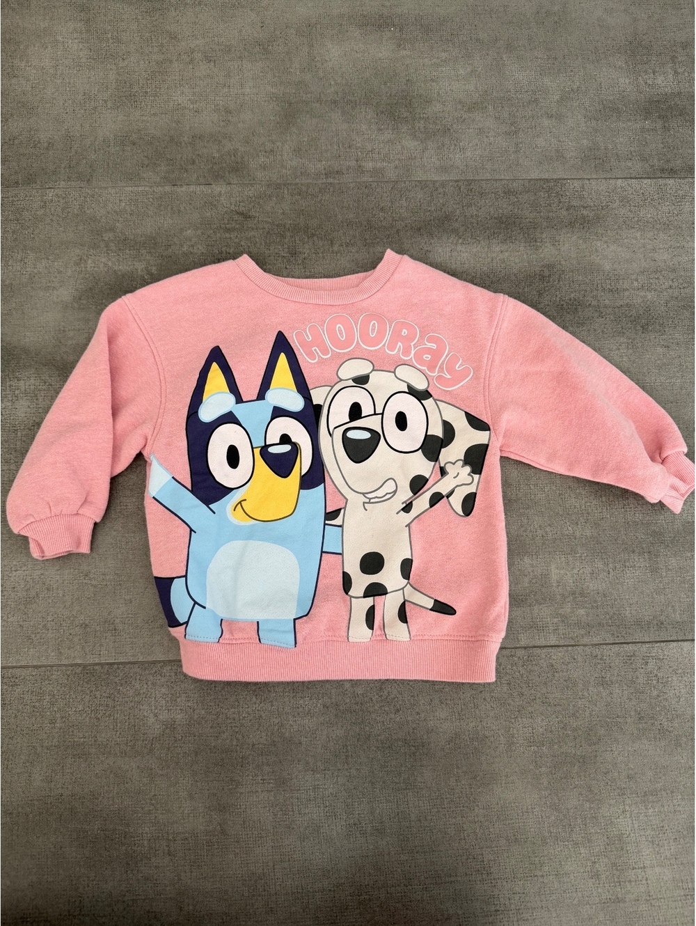 2t • Bluey Pink Hooray Sweatshirt